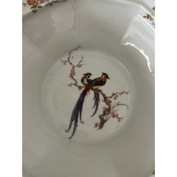 Theodore Haviland Dining Vintage 92s Theodore Haviland Limoges